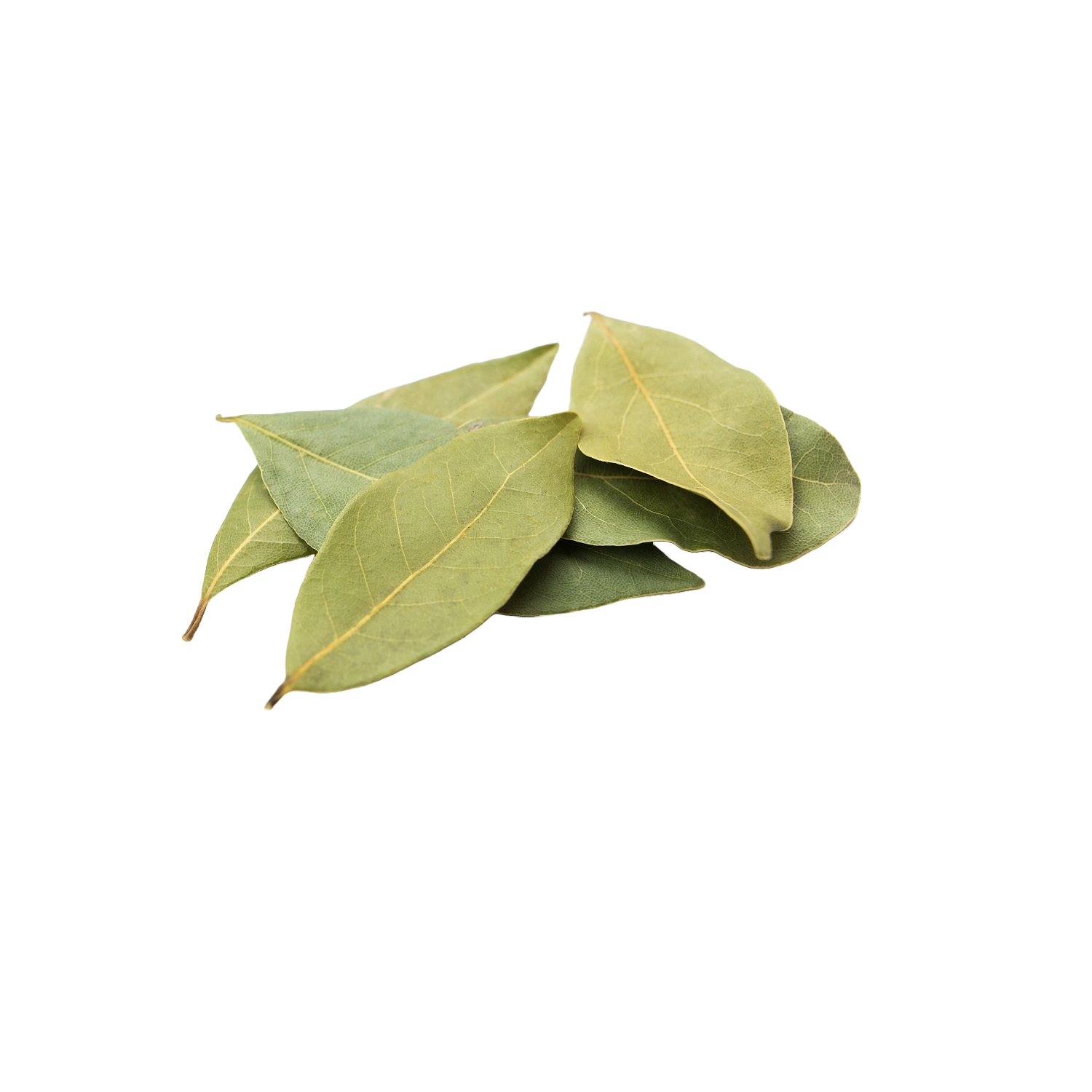 Bay Leaves