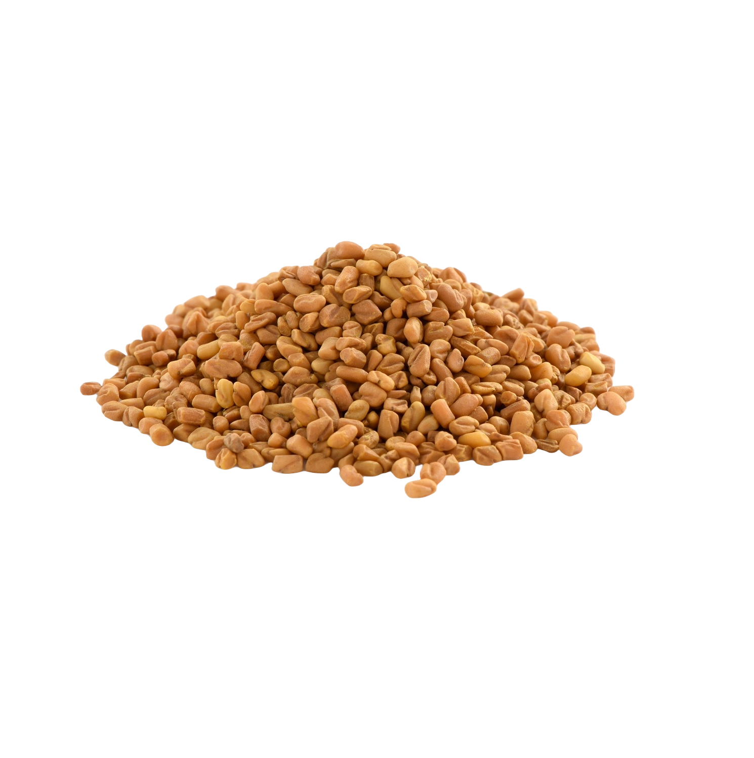 Fenugreek